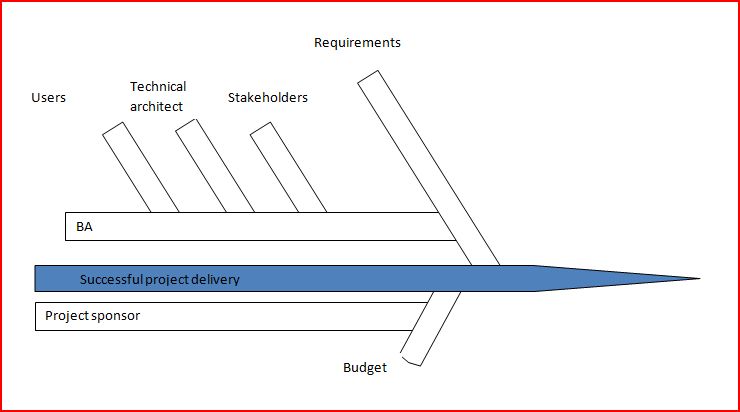 Stakeholder Fish bone Chart